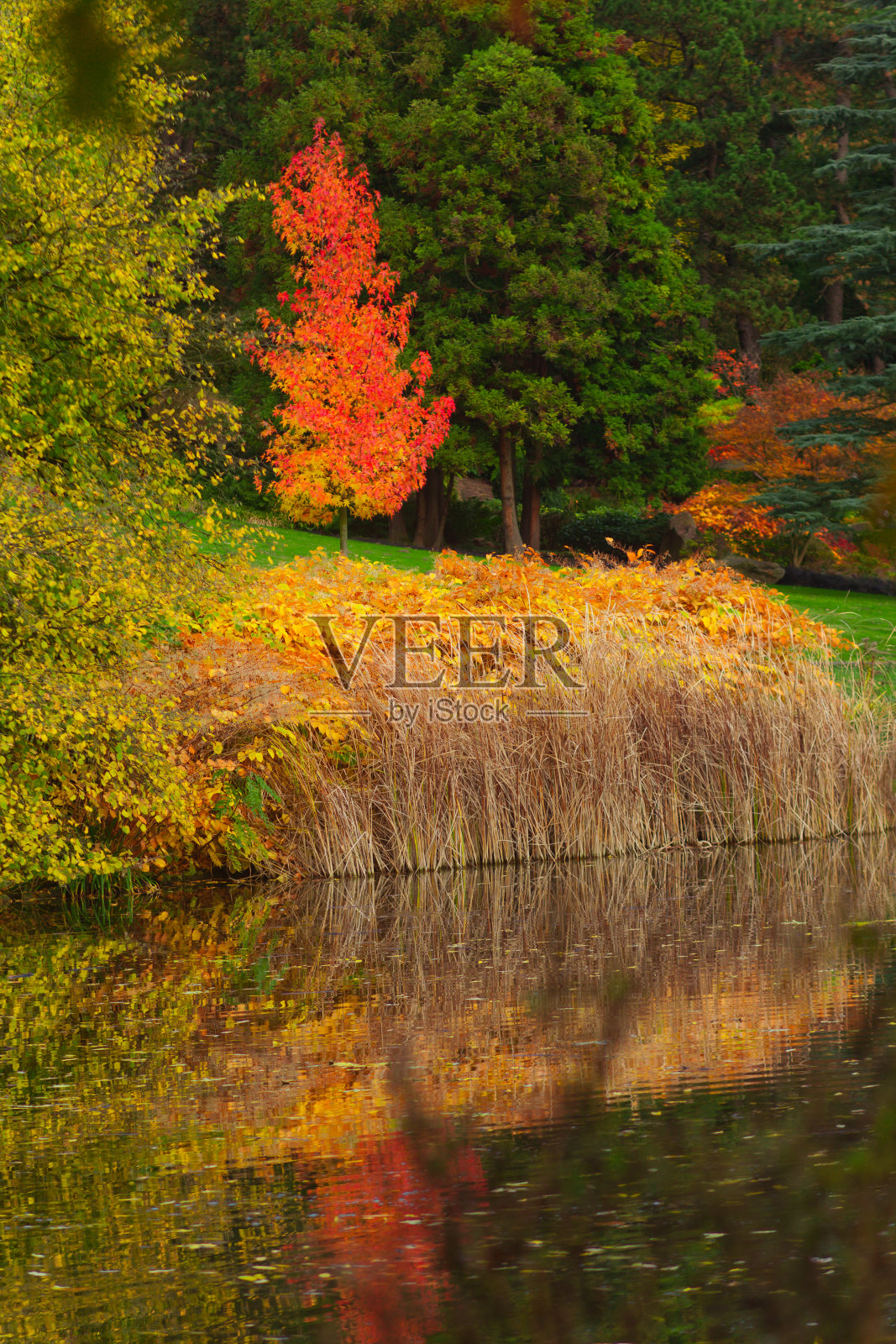 秋天在公园照片摄影图片