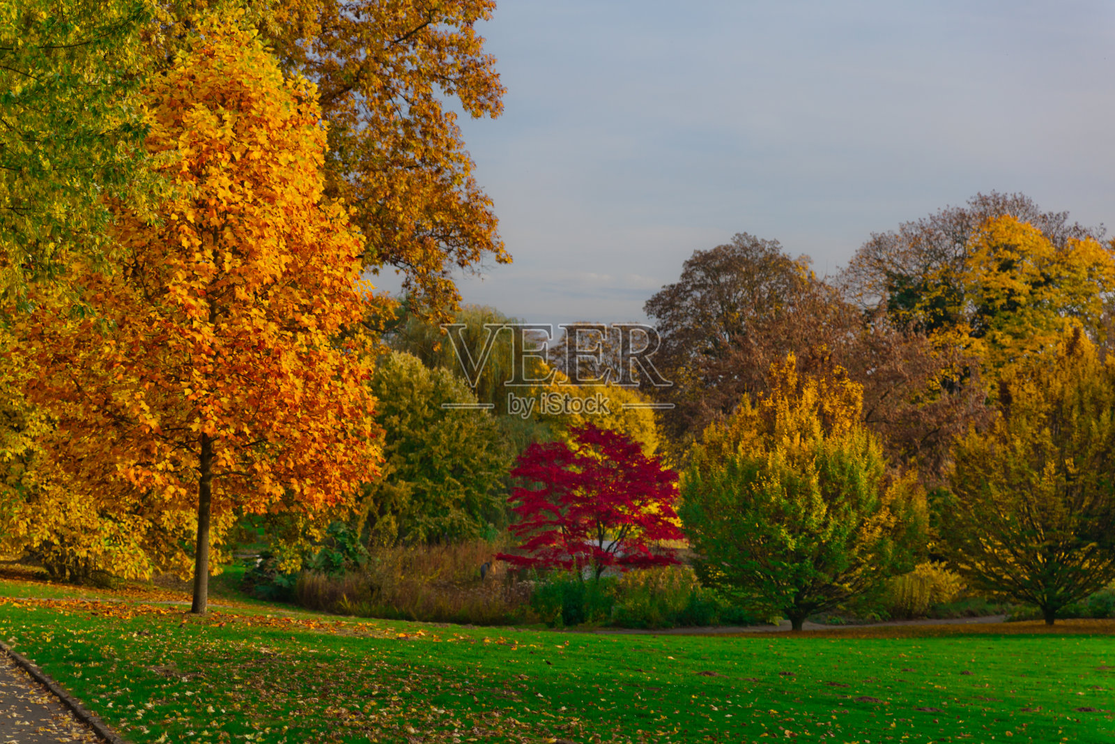 秋天在公园照片摄影图片