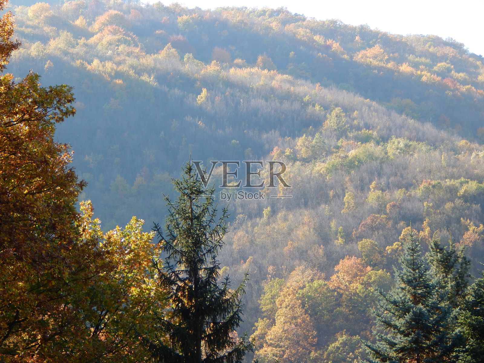 阳光照耀着山上五彩缤纷的秋树照片摄影图片