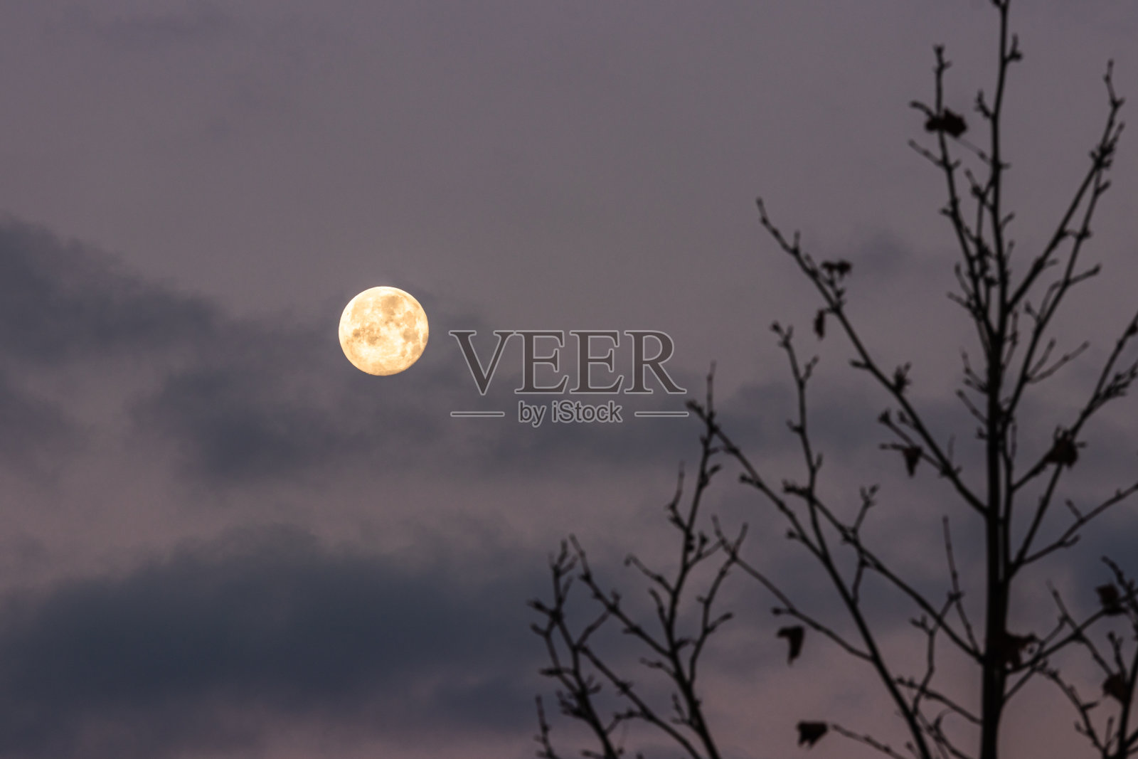 在普罗旺斯的一个清晨，一轮圆月照片摄影图片