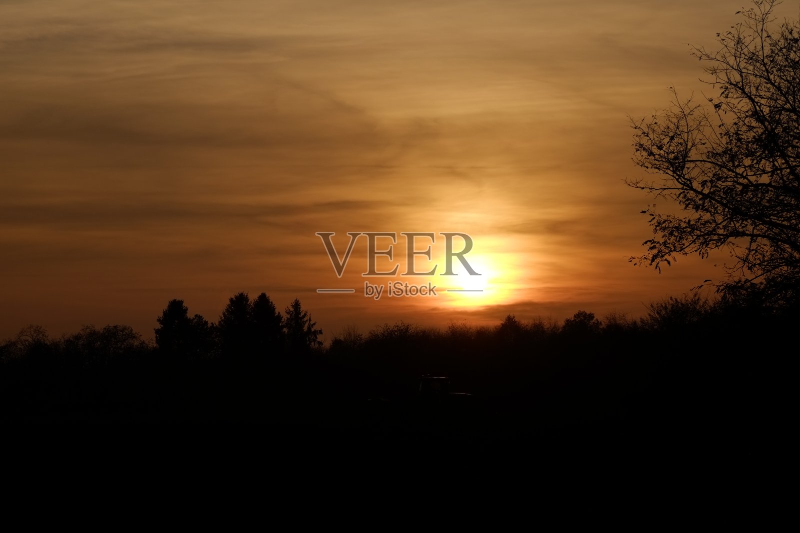 公园里的日落照片摄影图片