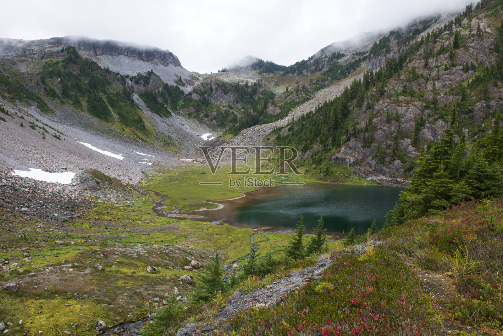 贝克山休闲区希瑟草地的风景照片摄影图片
