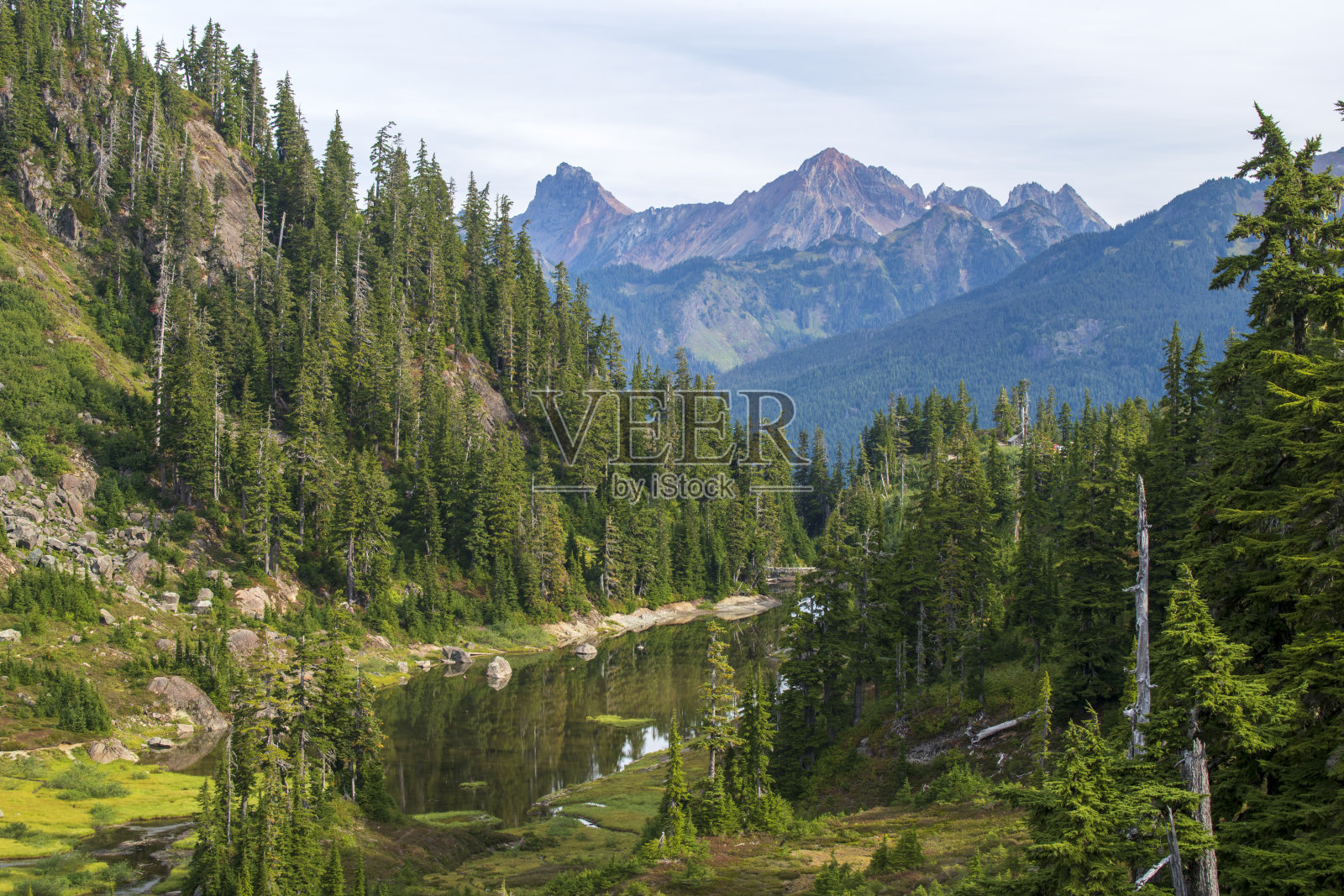 贝克山休闲区希瑟草地的风景照片摄影图片