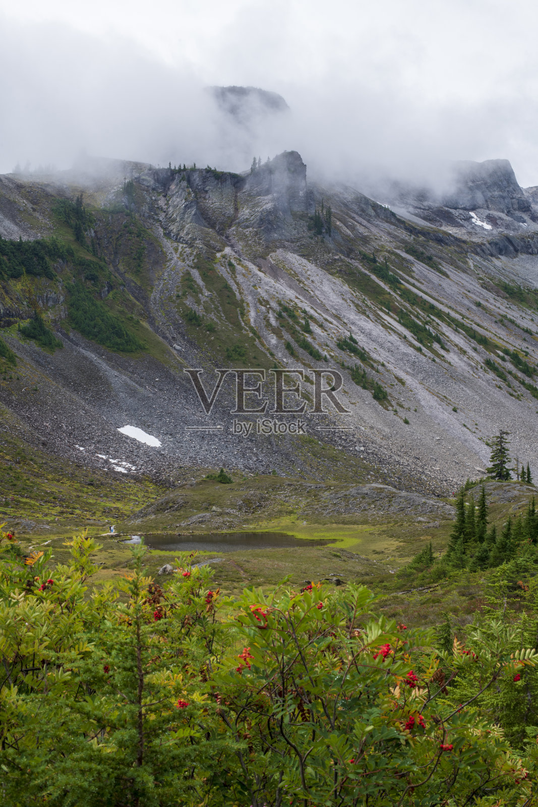 贝克山休闲区希瑟草地的风景照片摄影图片