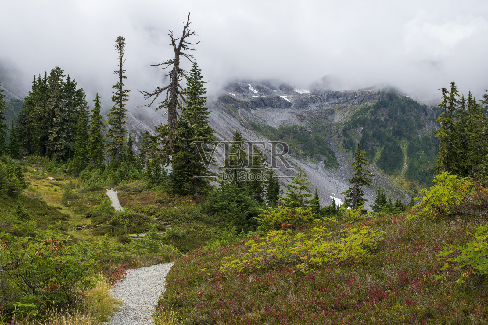 在贝克山休闲区的希瑟草地小径照片摄影图片