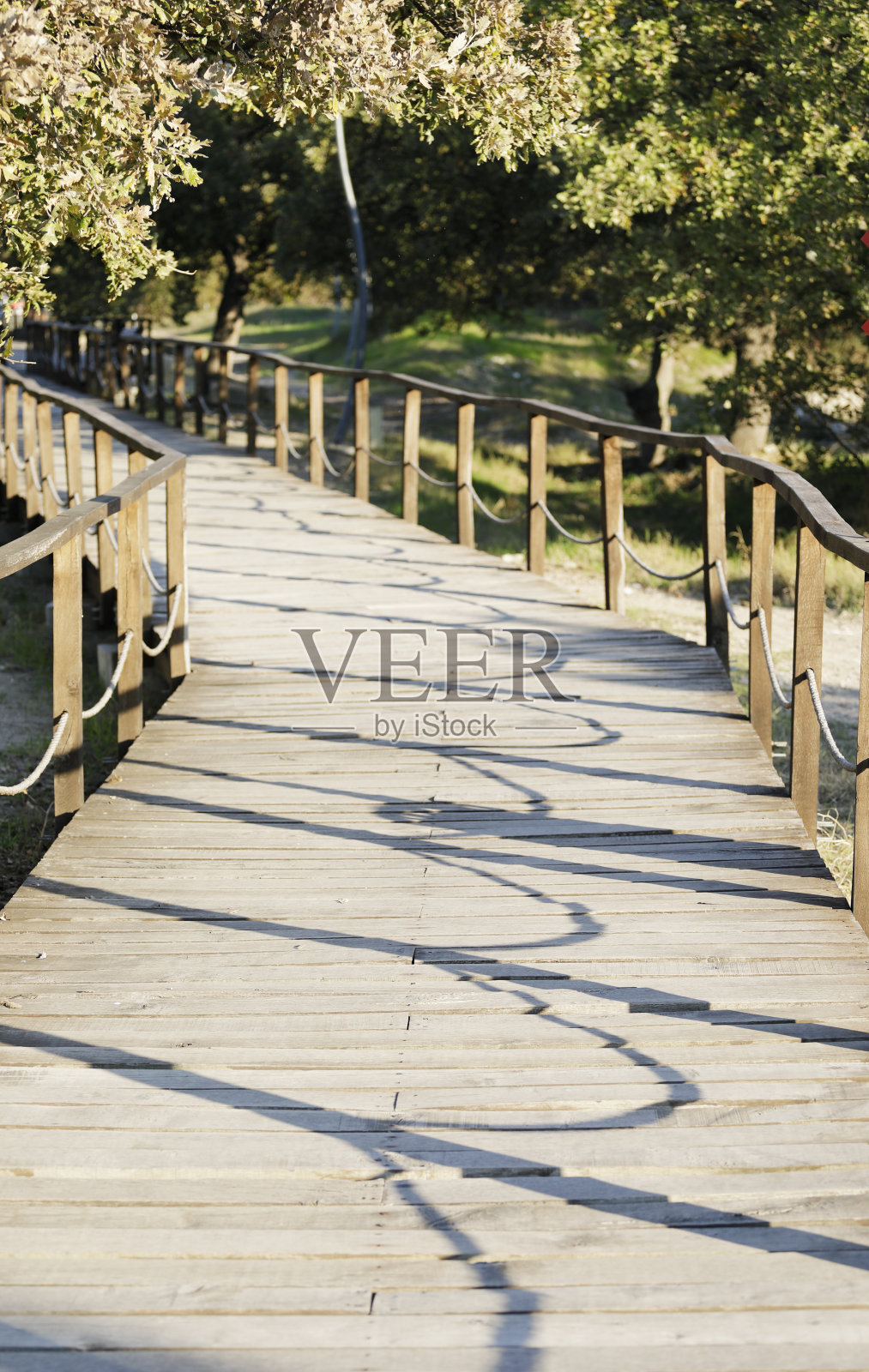 木制的途径照片摄影图片