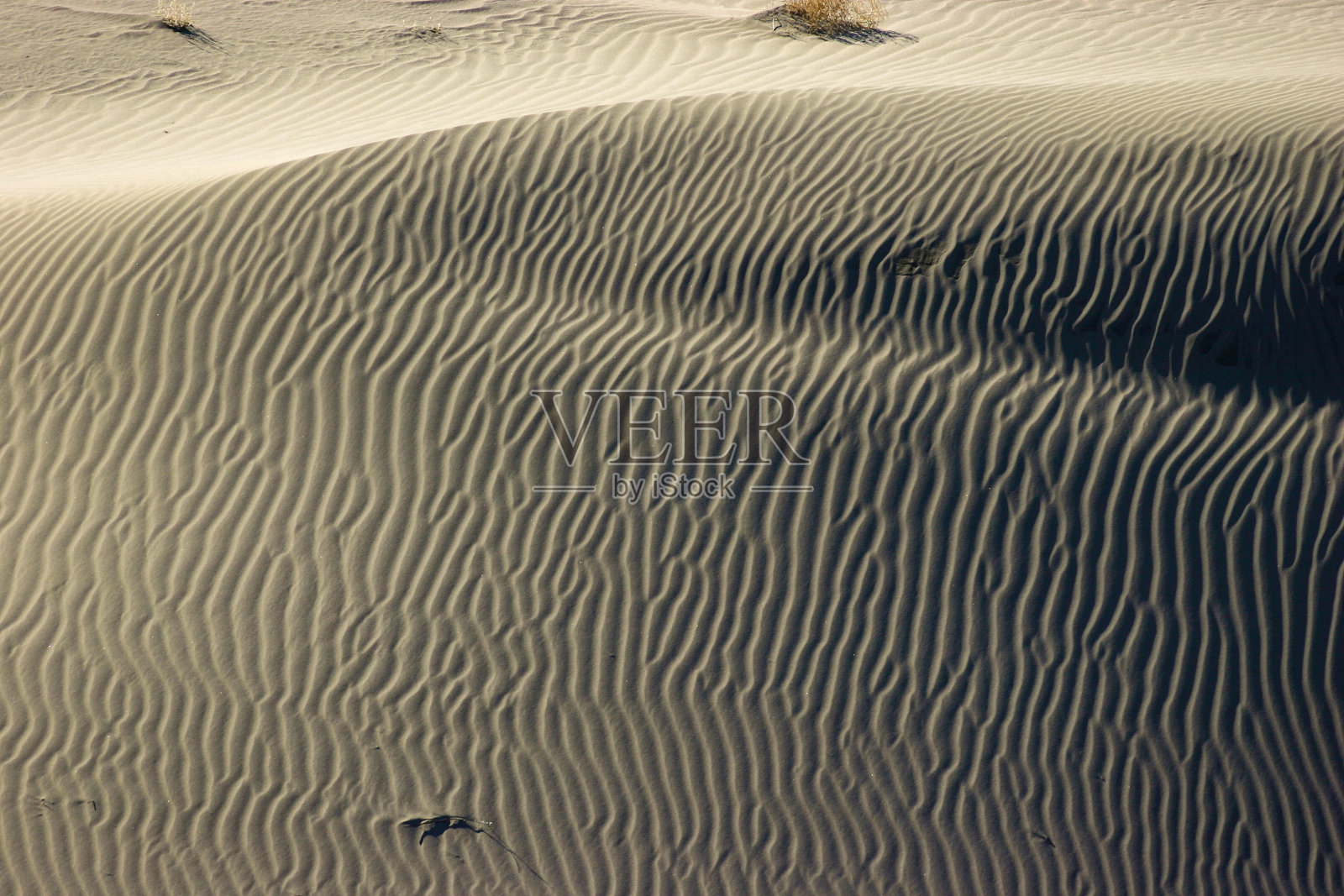 爱达荷州博伊西附近的布鲁诺沙丘国家公园照片摄影图片