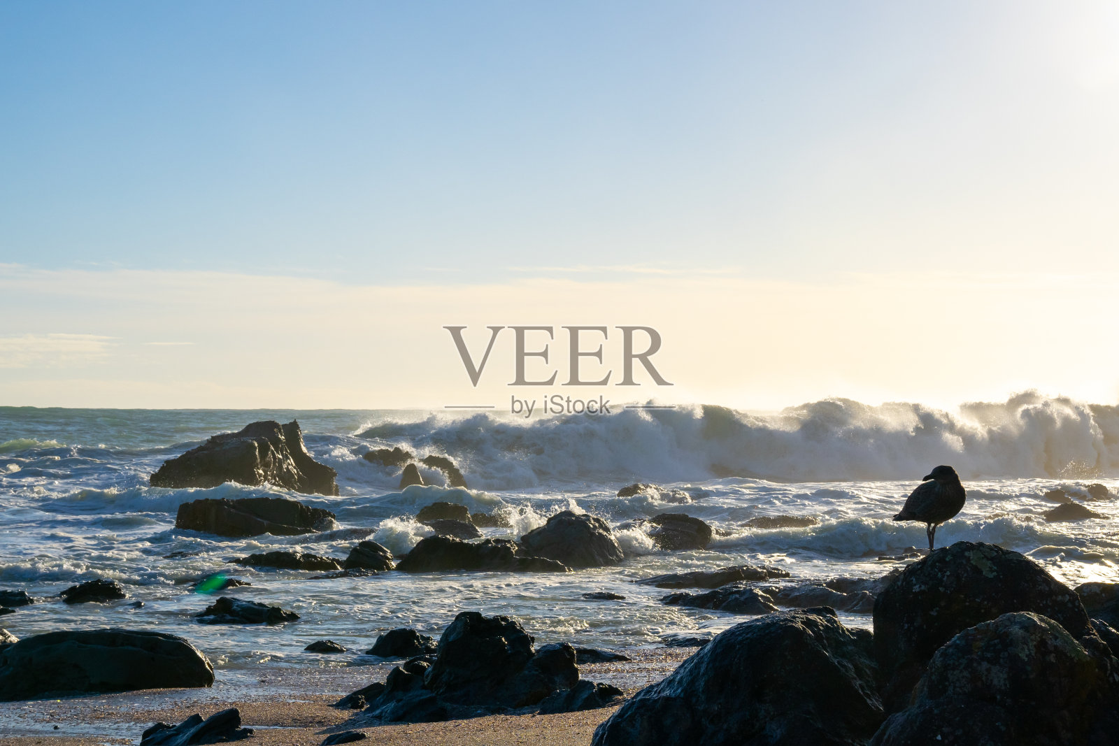 海岸上的岩石和海鸥的剪影，汹涌的巨浪从旋风中吹来照片摄影图片