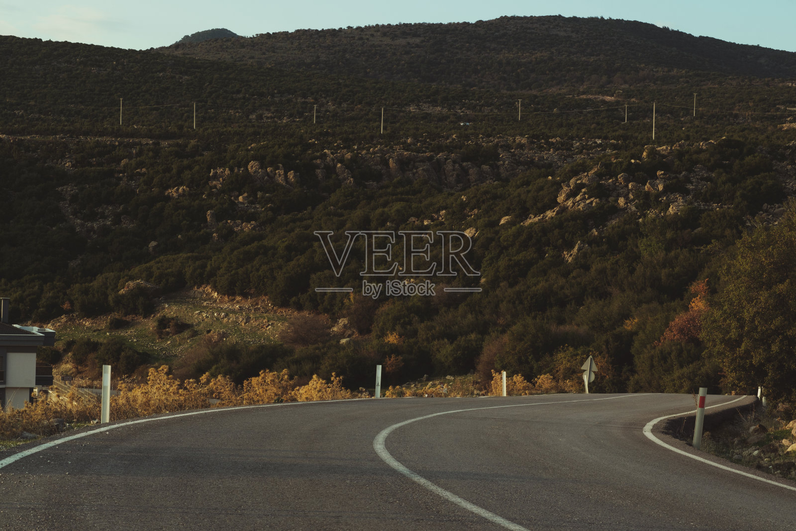 弯曲一条有树木和灌木的车道照片摄影图片