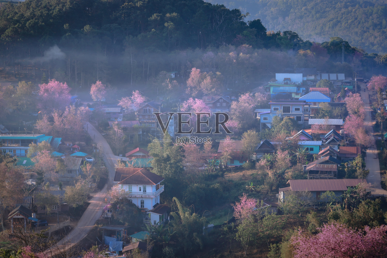 村子里的晨雾照片摄影图片