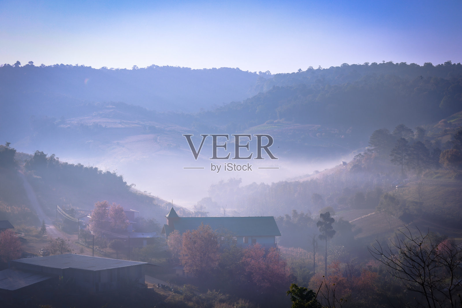 村子里的晨雾照片摄影图片