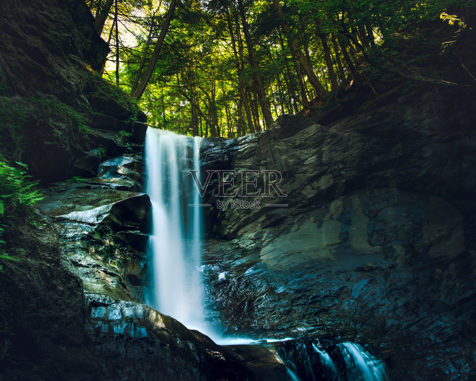 森林中的瀑布照片摄影图片