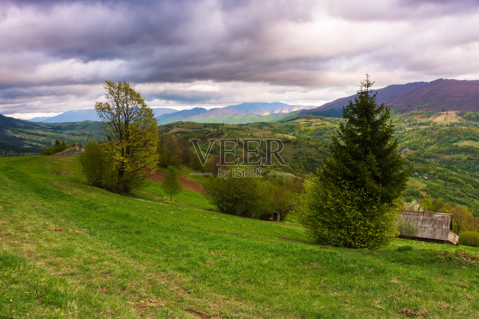 引人注目的山景，有树木和草地照片摄影图片