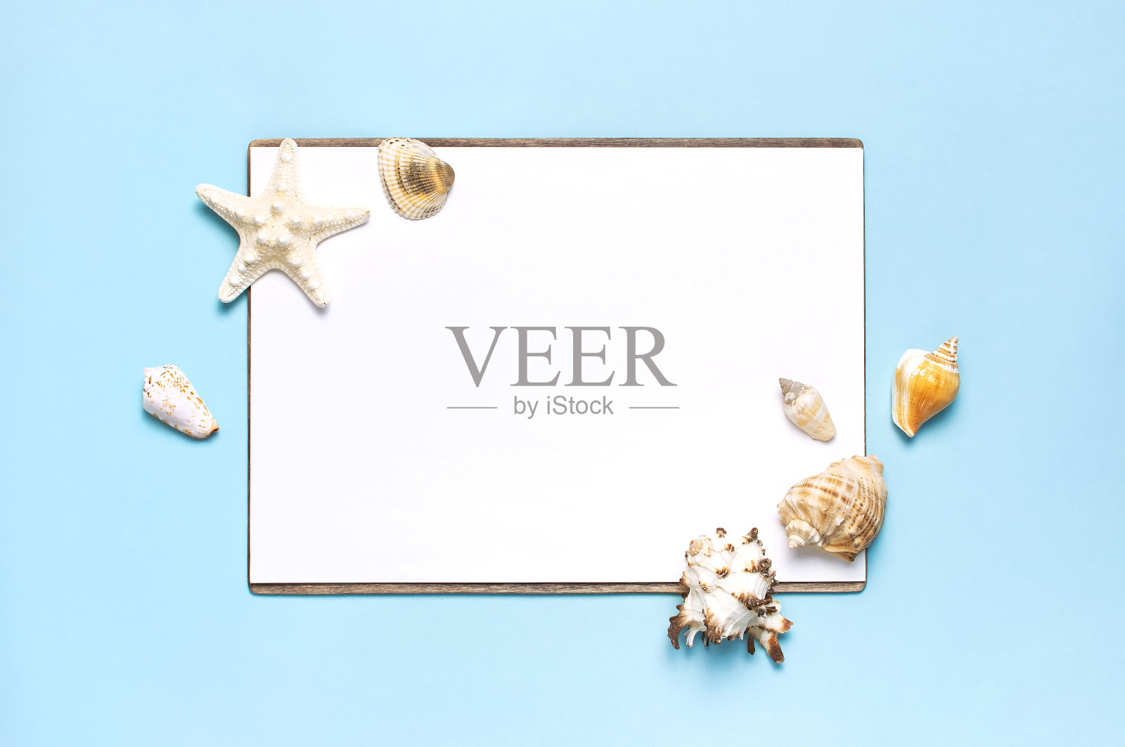 夏日概念，海洋背景。贝壳，海星，白色的空白表在柔和的蓝色背景。俯视图，平躺，复制空间。海洋暑假模型。旅游、海洋纪念品照片摄影图片