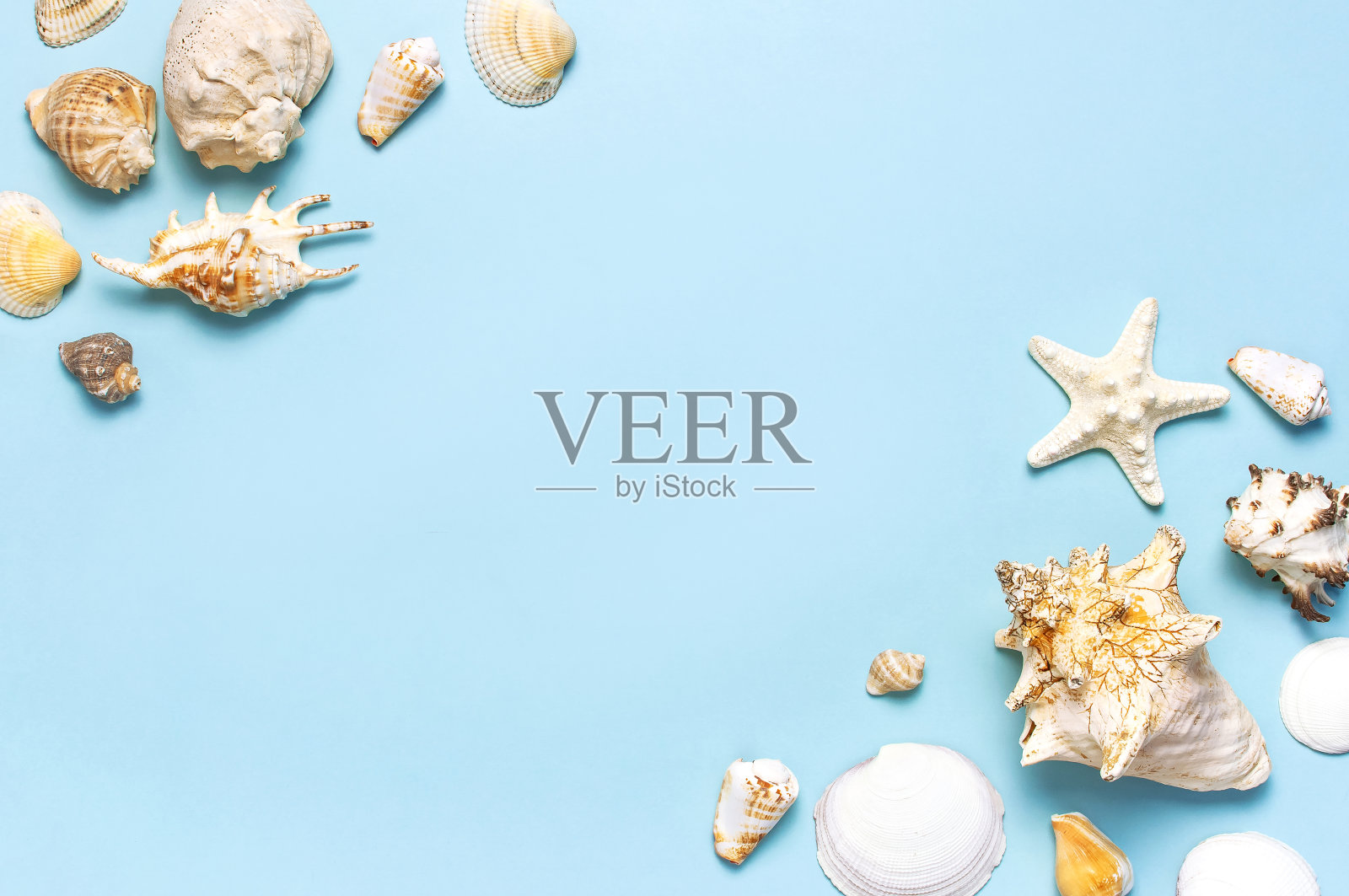 夏日概念，海洋背景。不同的贝壳和海星在柔和的蓝色背景。俯视图，平躺，复制空间。海洋暑假背景。旅游、海洋纪念品照片摄影图片