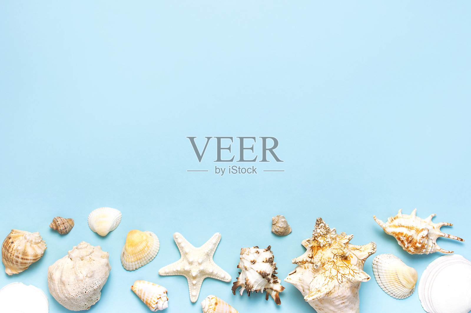 夏日概念，海洋背景。不同的贝壳和海星在柔和的蓝色背景。俯视图，平躺，复制空间。海洋暑假背景。旅游、海洋纪念品照片摄影图片