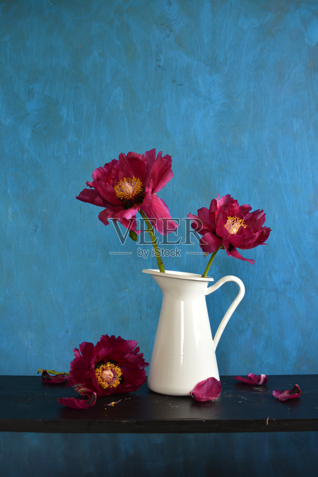 美丽的红色牡丹在白色的水罐照片摄影图片