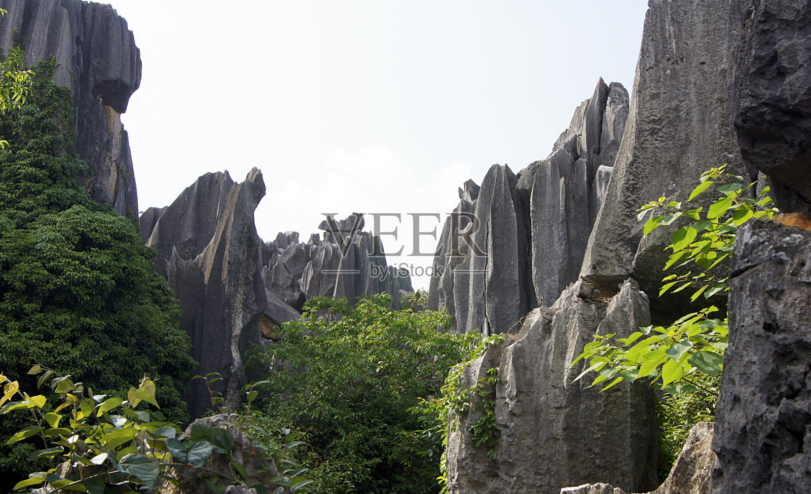 石林，石林，云南，中国照片摄影图片