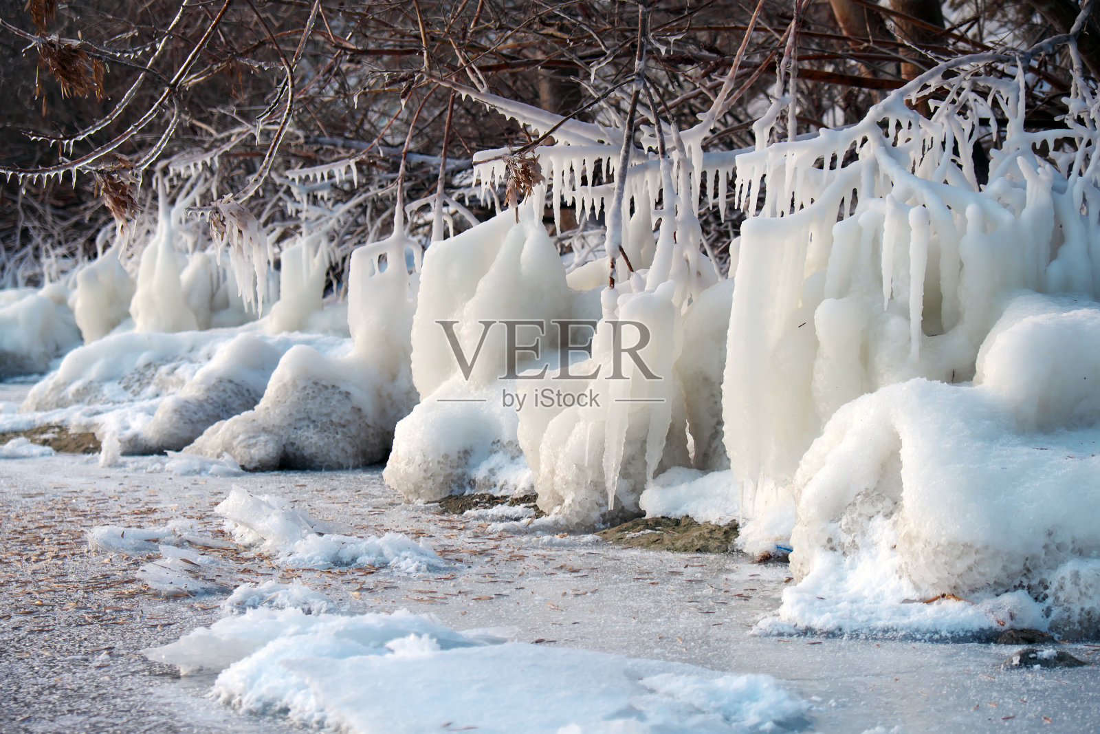 湖滨的冬季风暴在湖滨的树根、杂草和树枝上形成了天然的冰雕。照片摄影图片