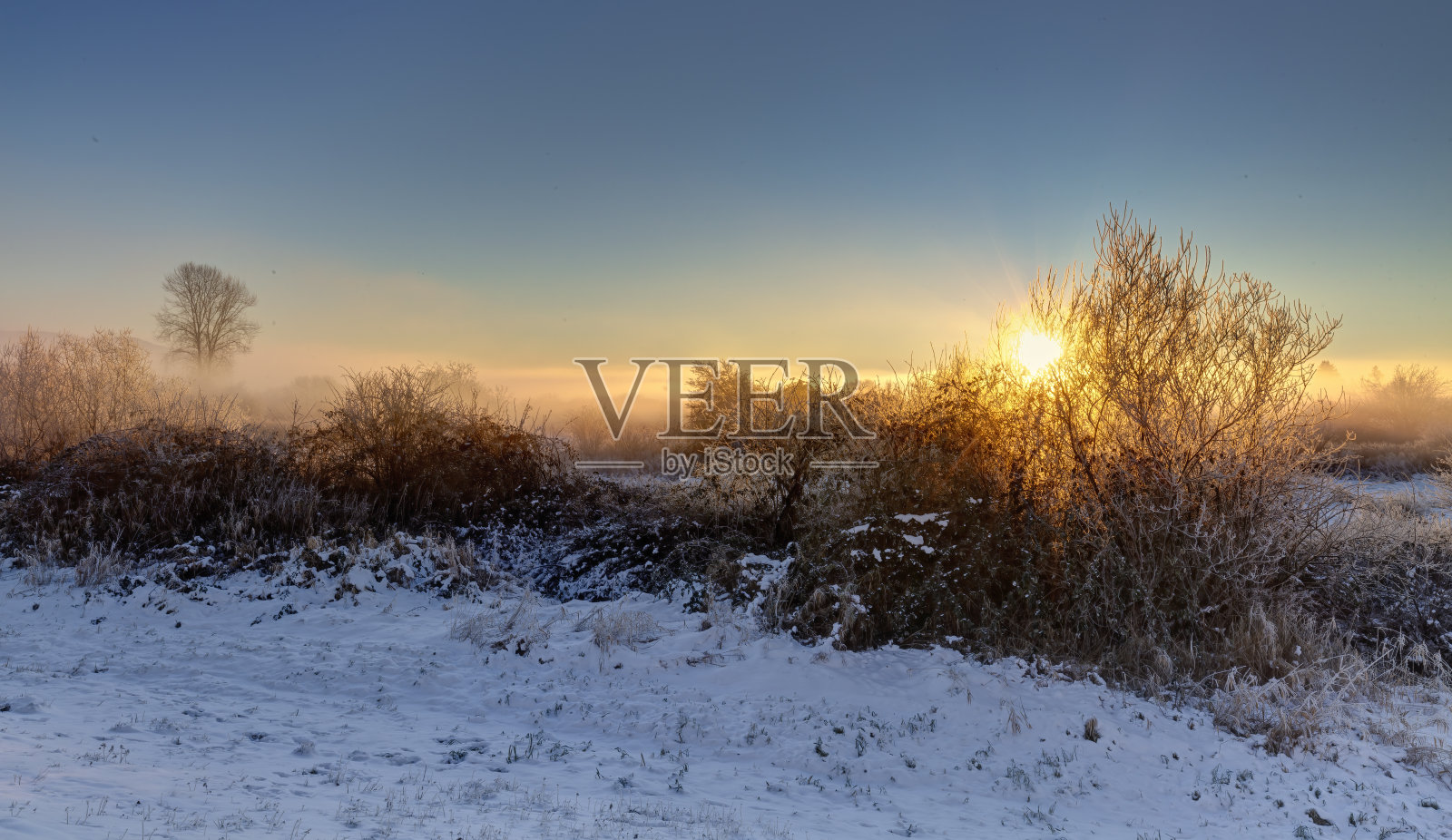 冬季草甸日出观照片摄影图片