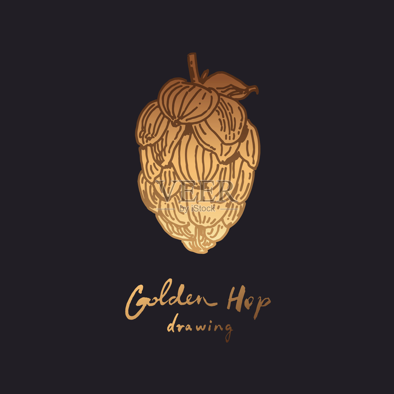 金跳图插画图片素材