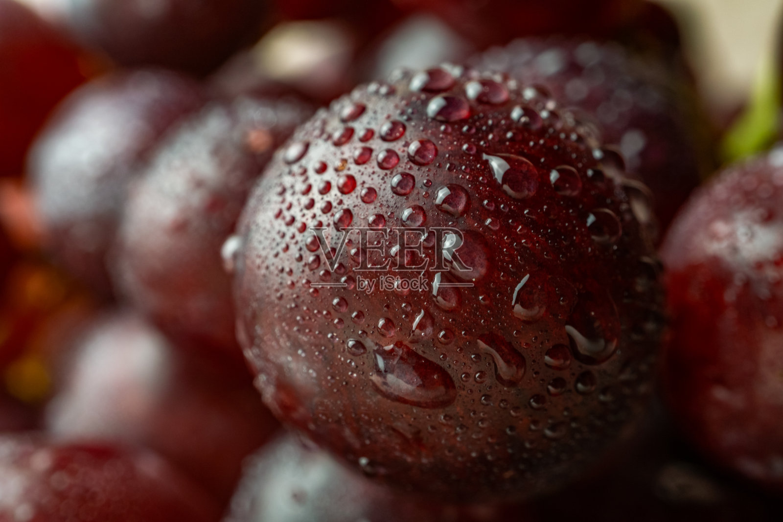 黑葡萄和水滴的特写照片摄影图片