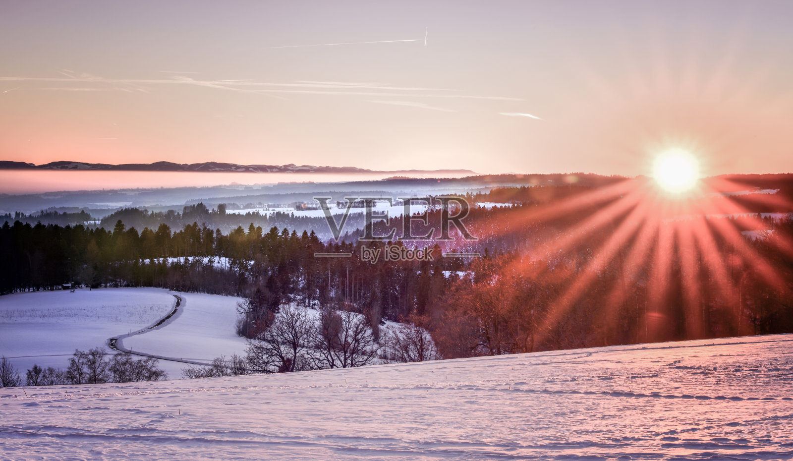 黑森林里的夕阳照片摄影图片