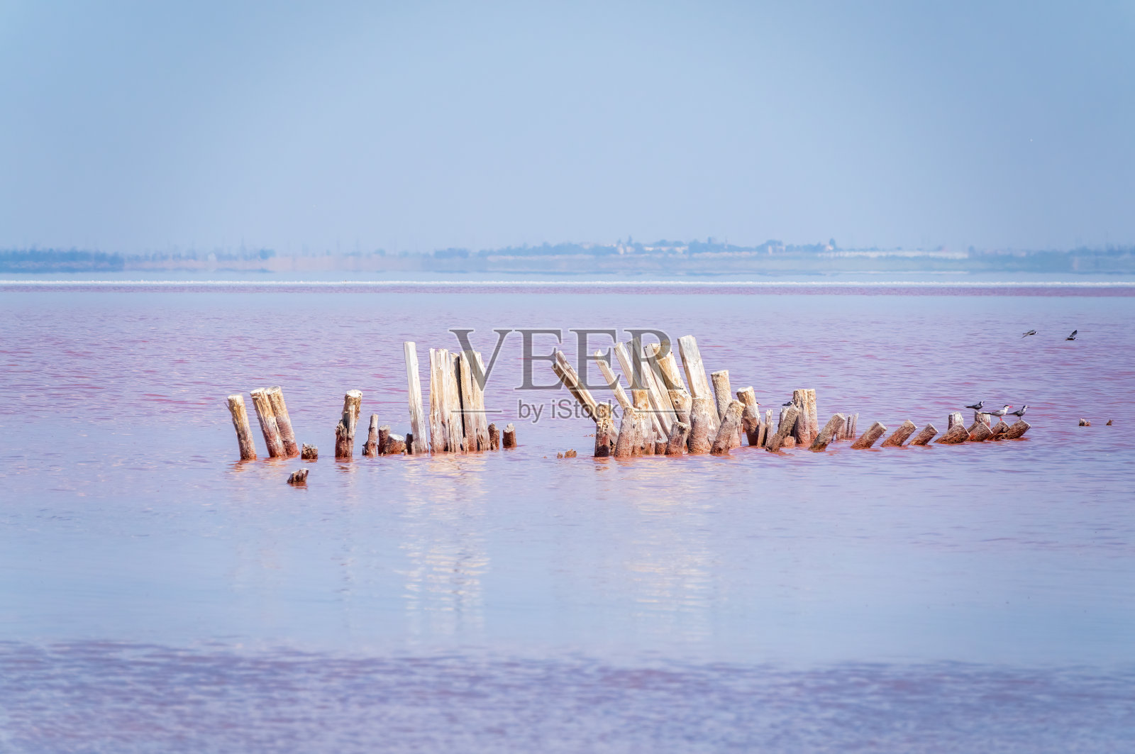 美丽的盐湖，粉红色的湖水。照片摄影图片