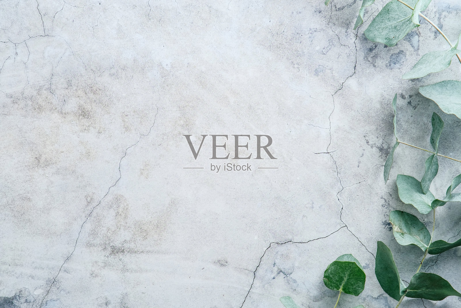 绿色的桉树叶子在石头的桌子上。由桉树树枝制成的框架。平躺，顶视图，复制空间。照片摄影图片