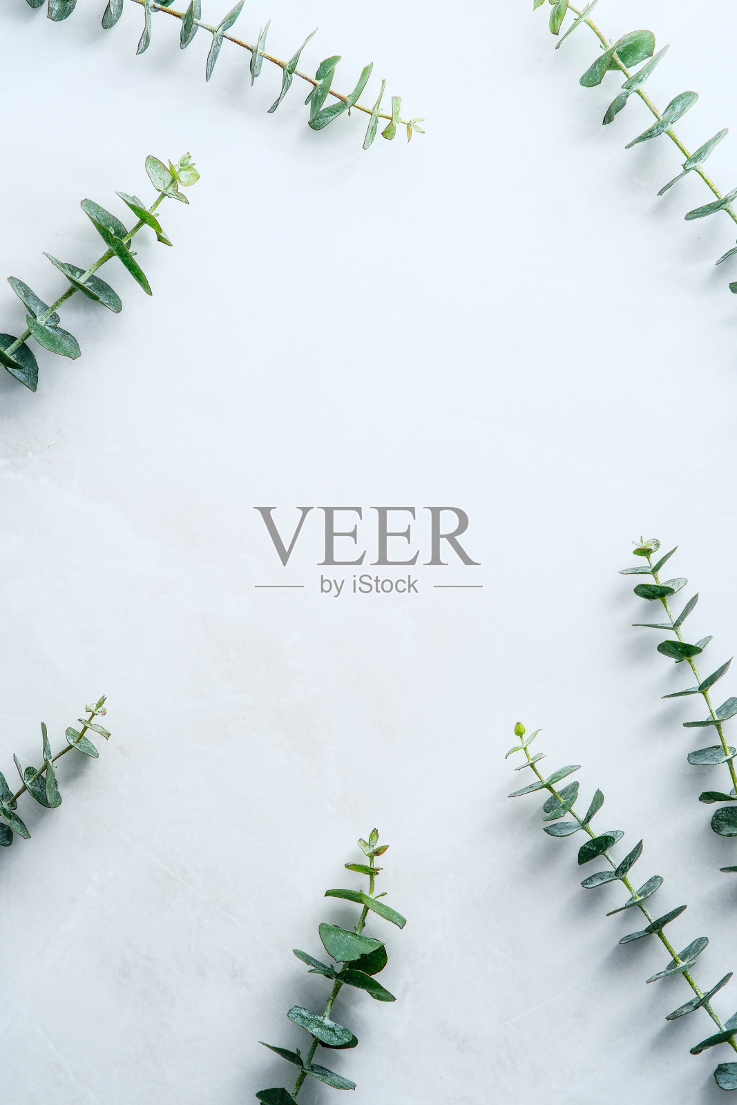 水彩绿桉树枝干上大理石石书桌桌上。由桉树叶制成的框架。婚礼邀请的设计。照片摄影图片