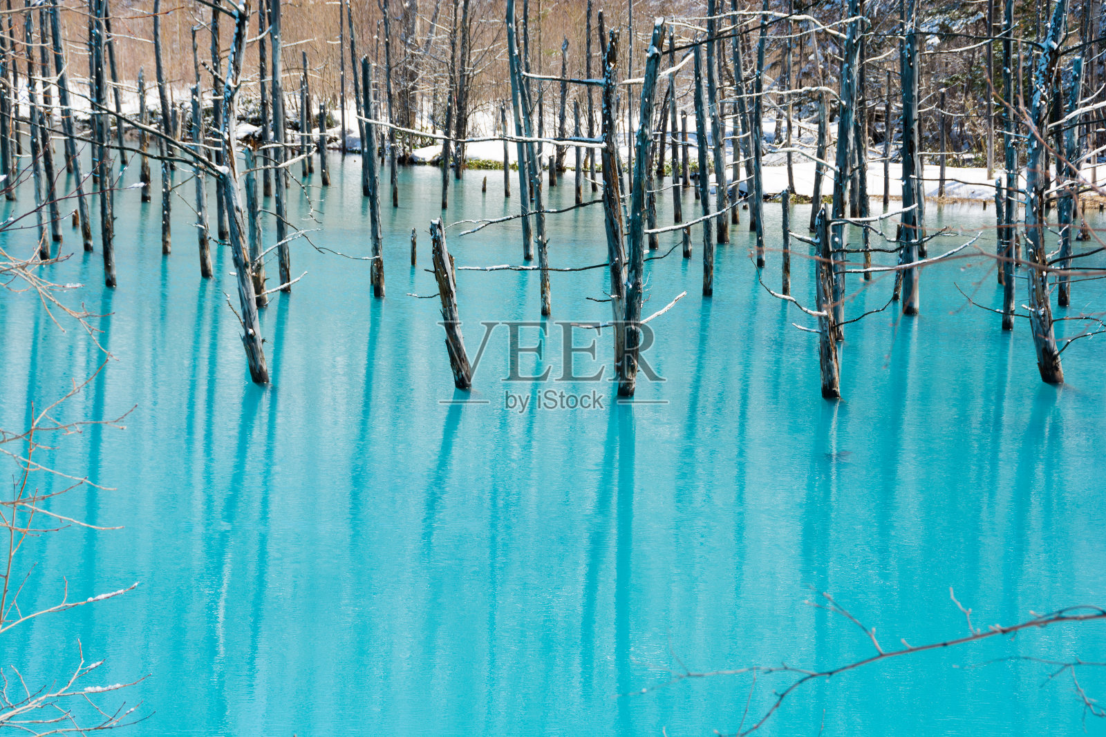 蓝色的池塘，那里的冰在春天开始融化照片摄影图片