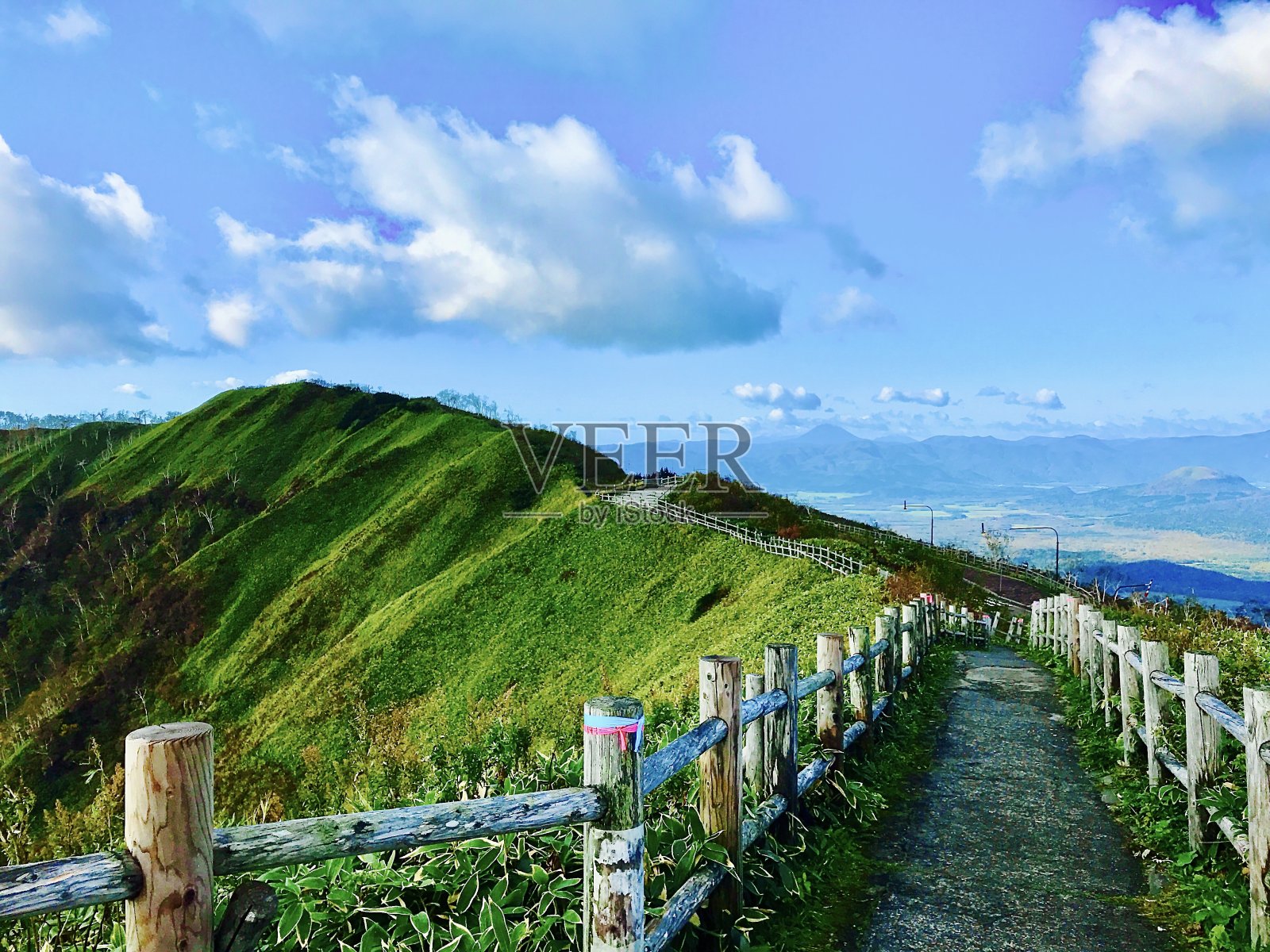 绿色海岸线照片摄影图片