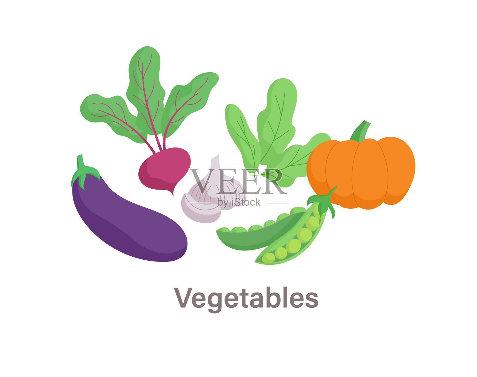 甲状腺营养信息图表元素插画图片素材