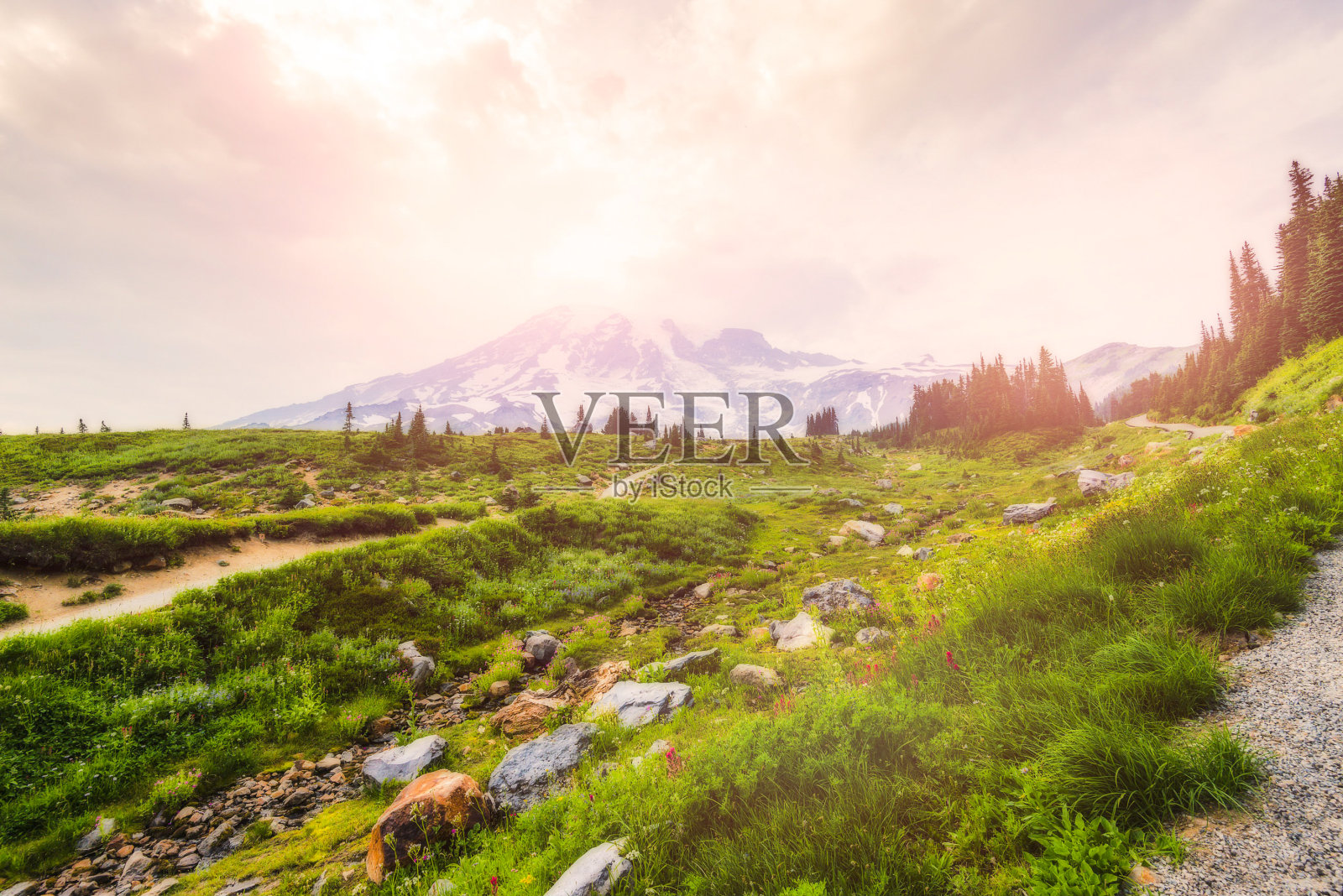 美国华盛顿雷尼尔山的日落。照片摄影图片