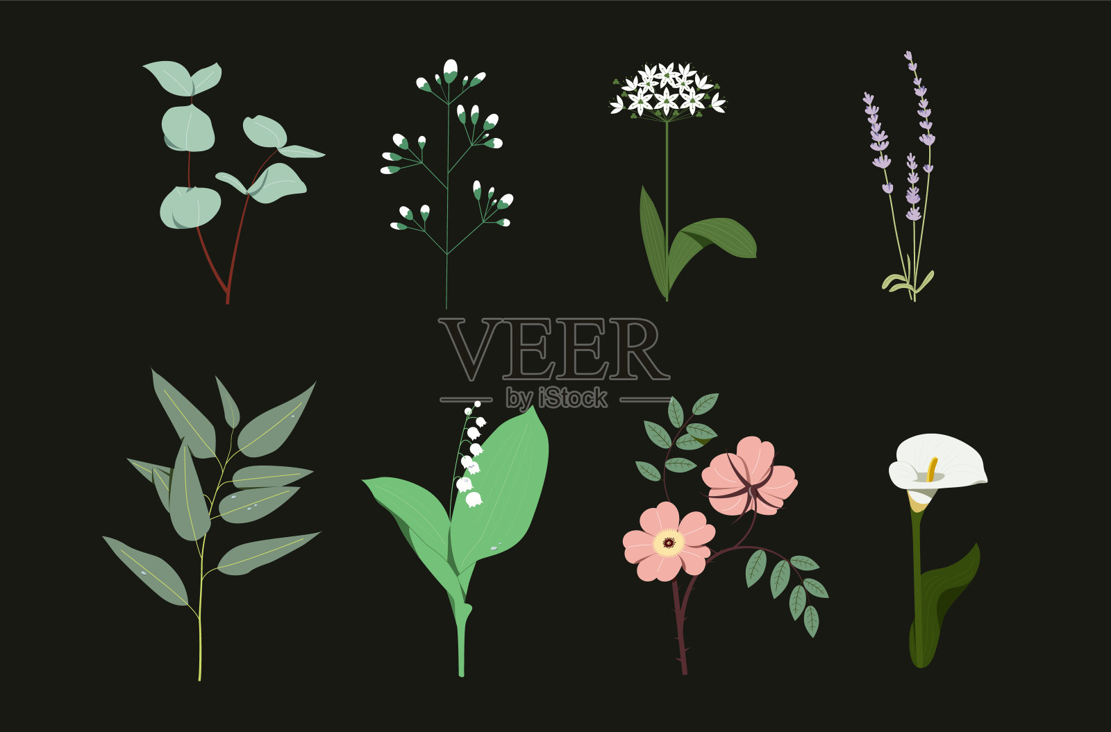 花枝套插画图片素材