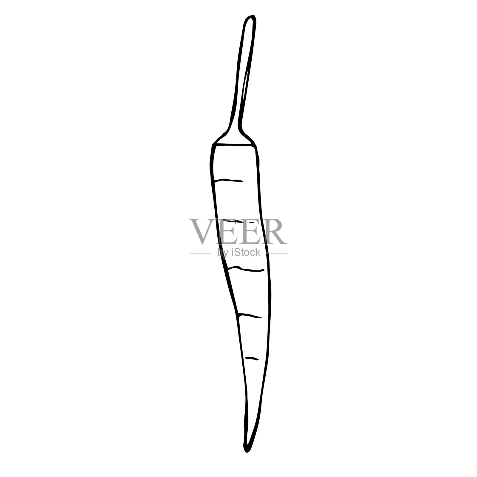 辣椒辣椒矢量插图手绘草图插画图片素材