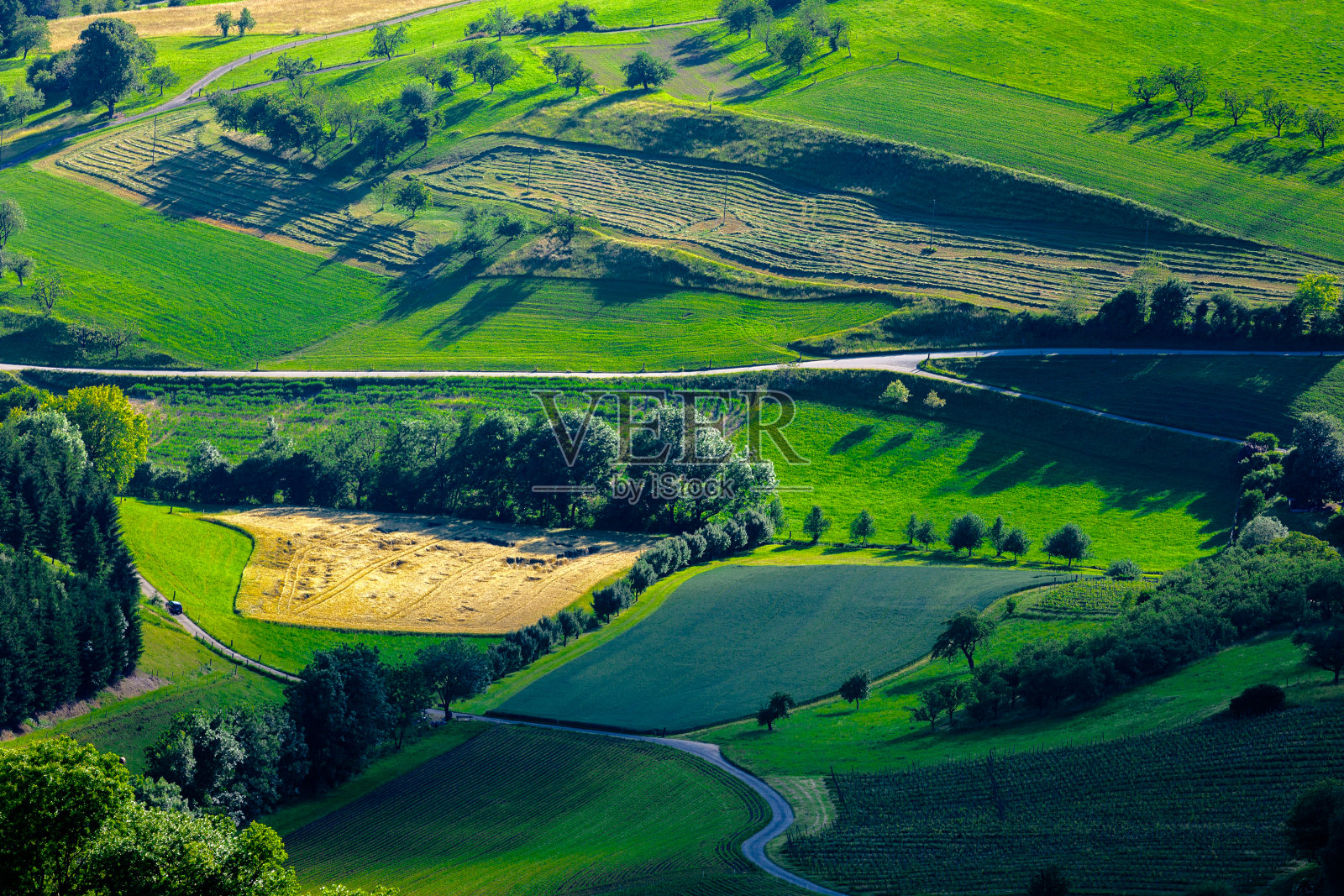春天在山照片摄影图片