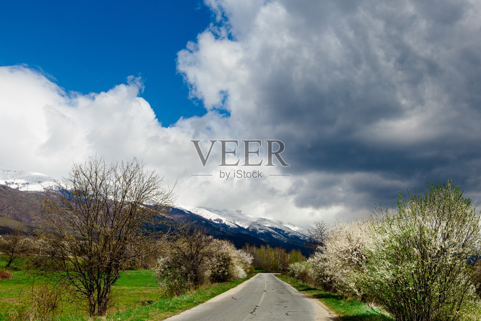 春天照片摄影图片