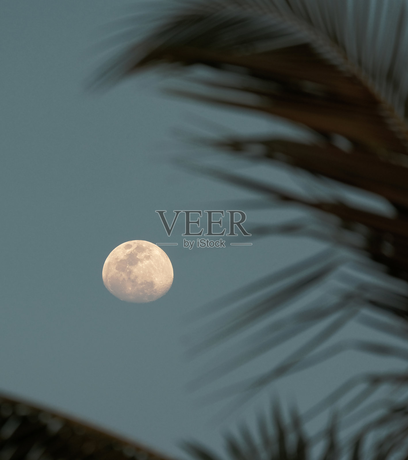 发光的望月照片摄影图片