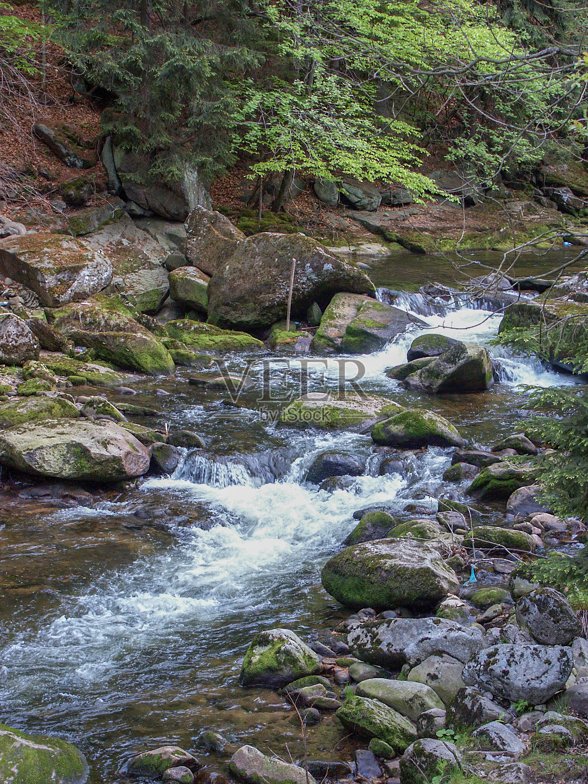 波兰巨人山脉2003照片摄影图片