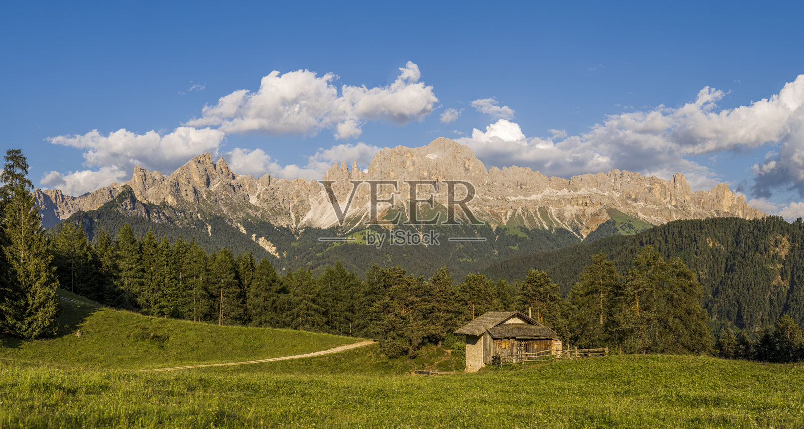 玫瑰园 - 卡蒂纳乔照片摄影图片