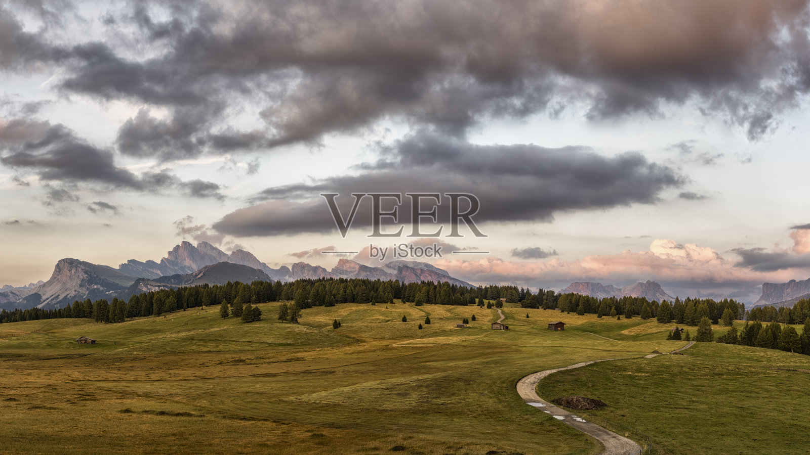 塞西尔在吹口哨照片摄影图片