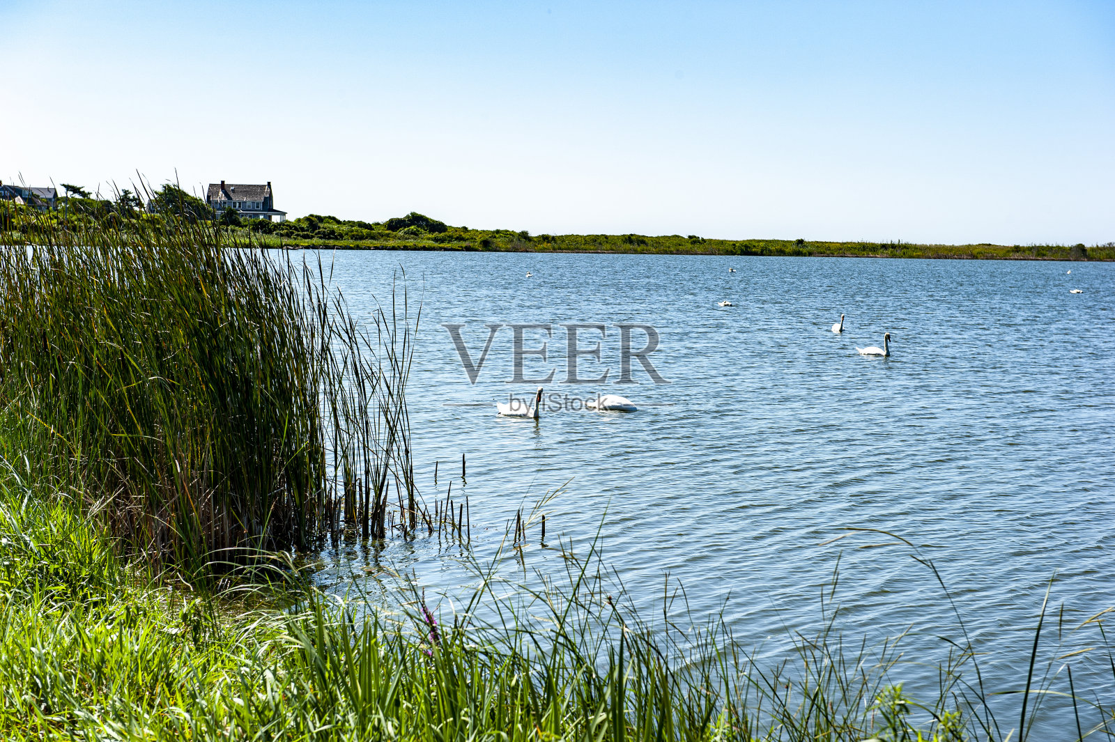 小康普顿,国际扶轮照片摄影图片