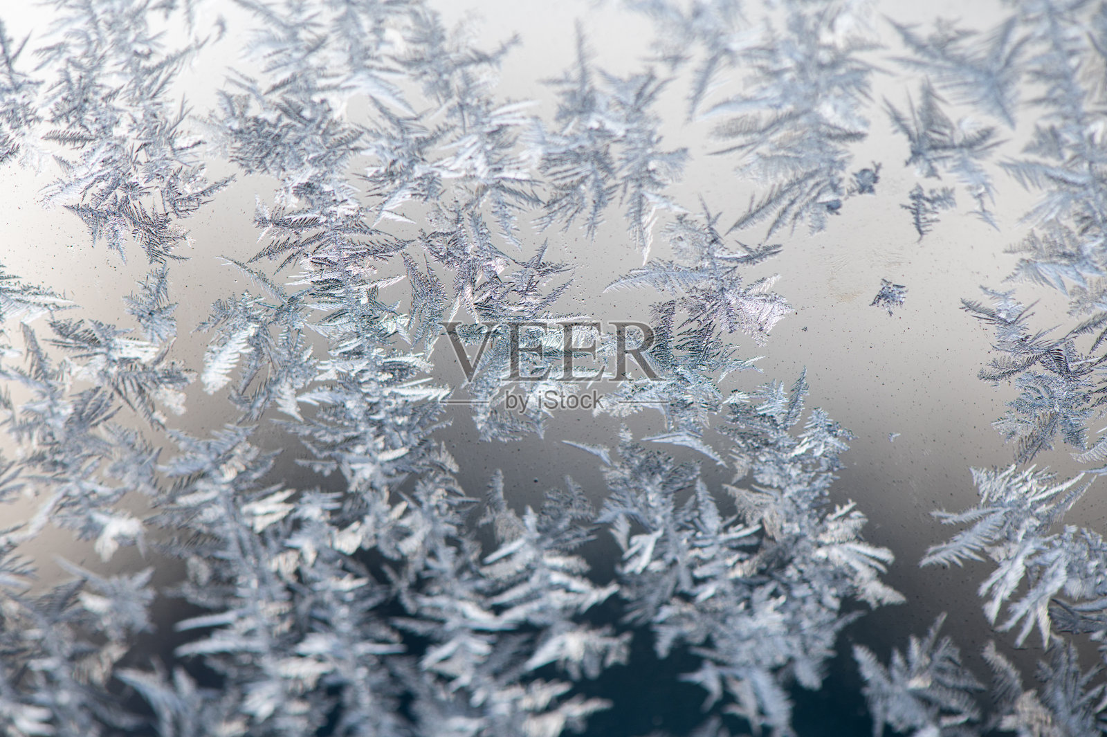 结霜的冰晶体背景照片摄影图片