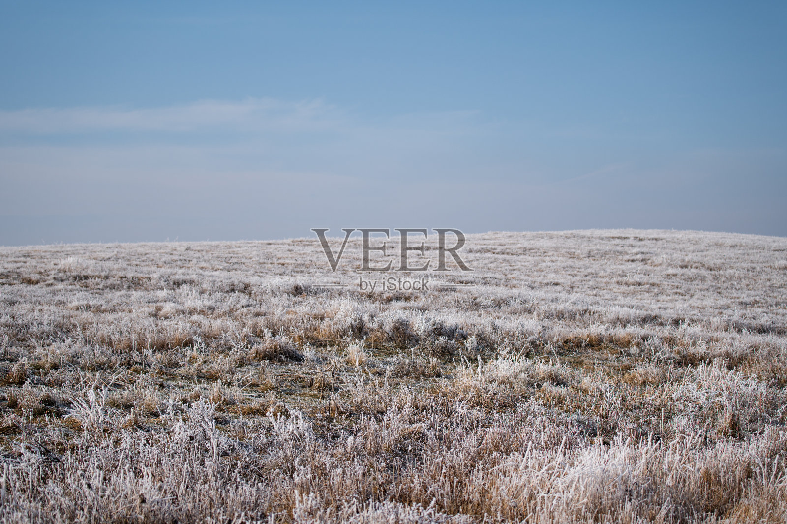 摘要冷冻草照片摄影图片