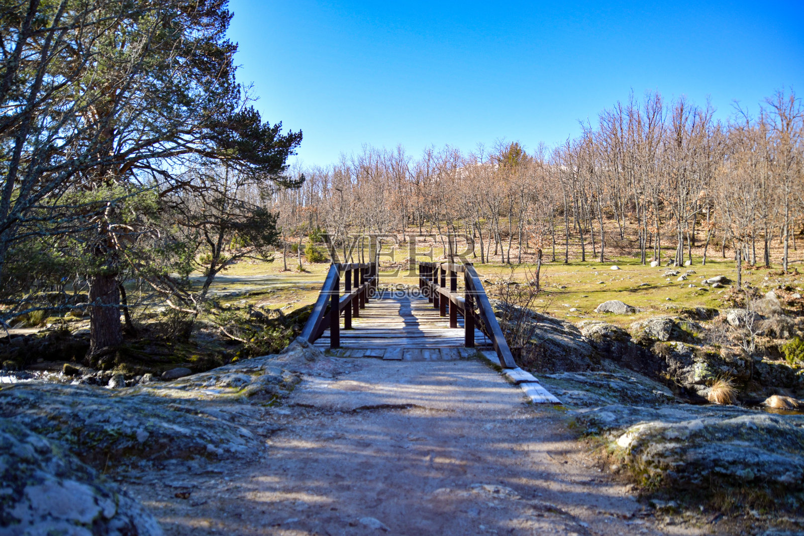 在树木繁茂的地区，由一座横跨河流的木桥构成的自然景观。照片摄影图片