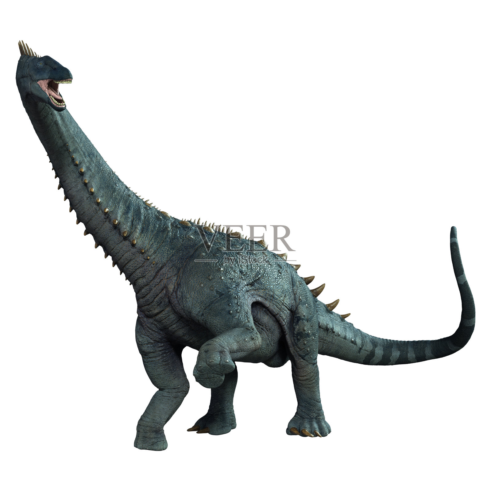 3D渲染恐龙alamosaurus在白色照片摄影图片