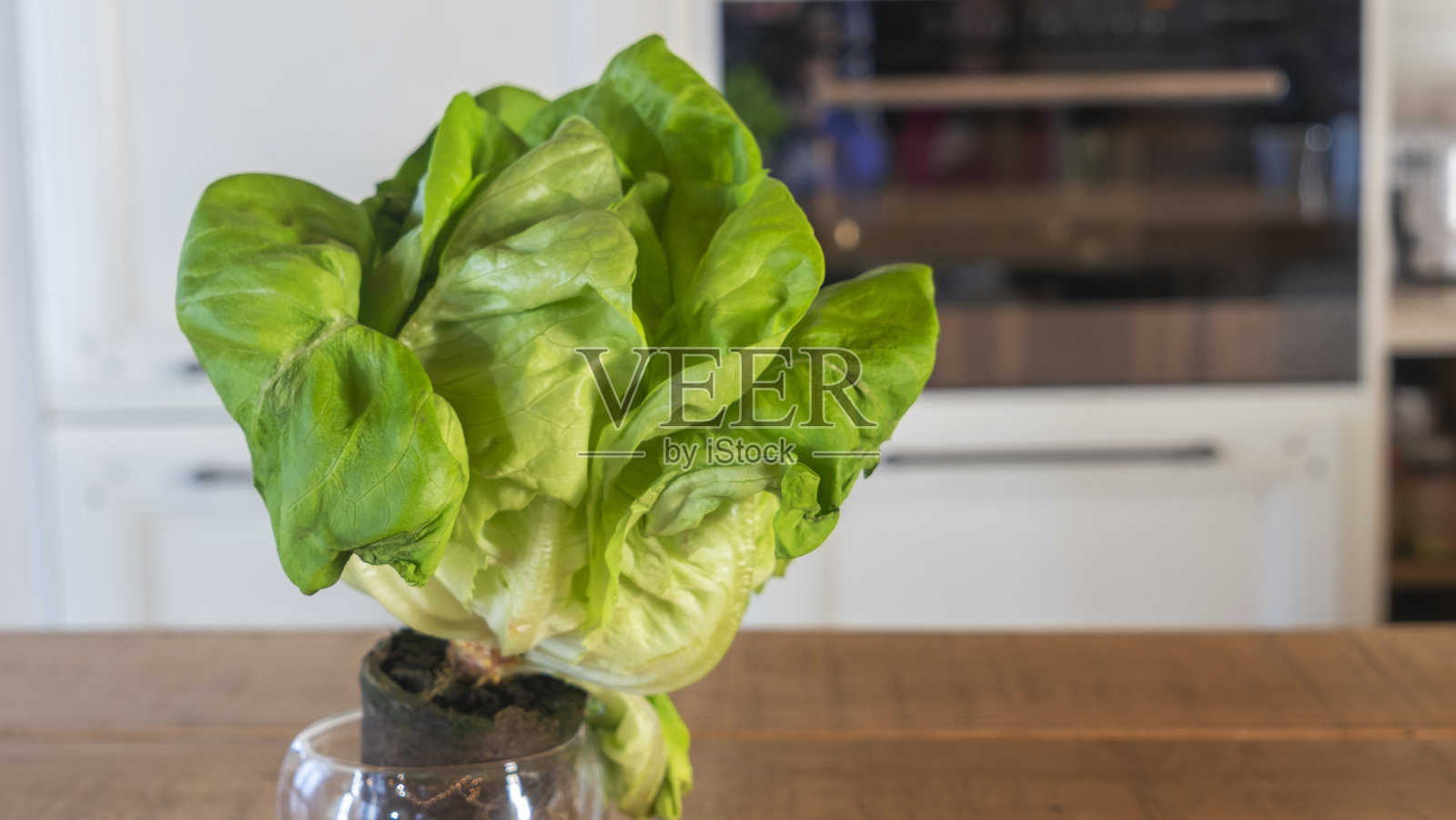 厨房背景上的生菜绿叶沙拉和根。烹调用的莴苣叶原料。照片摄影图片