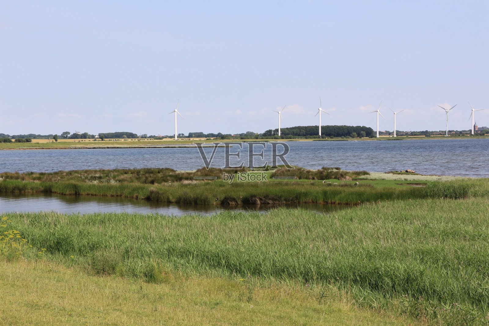 波罗的海的费马恩岛上美丽的夏日照片摄影图片