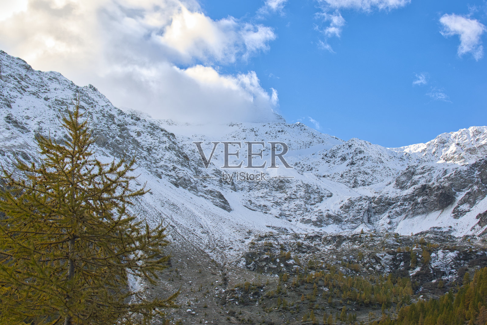 树和山照片摄影图片
